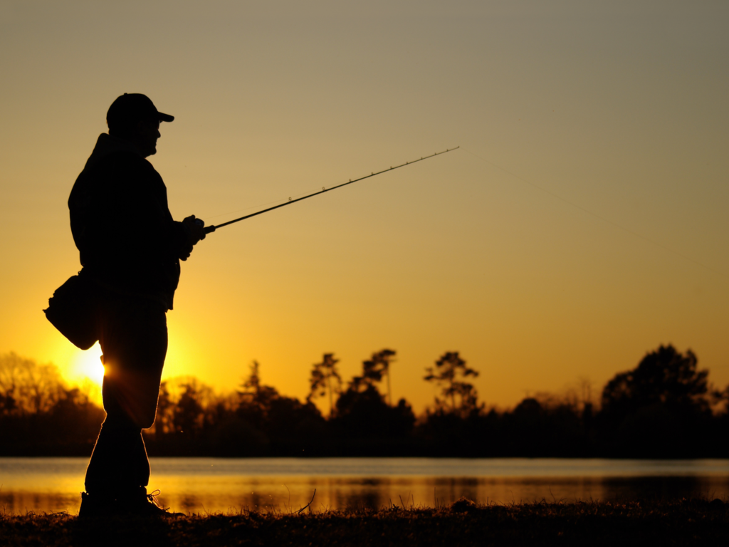 Tampa Fishing