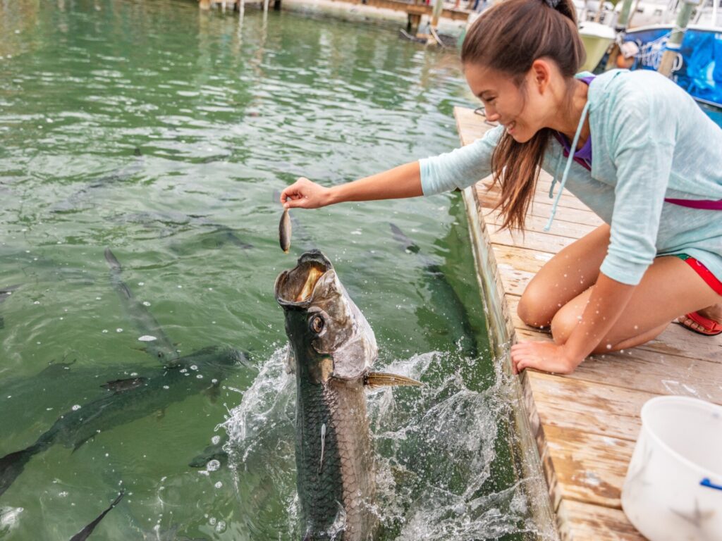 Panduan Memancing Tampa Terbaik: TempatPanduan Memancing Tampa Terbaik: Tempat  